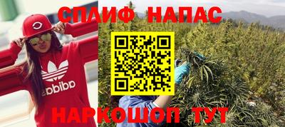 гашик Ставрополь