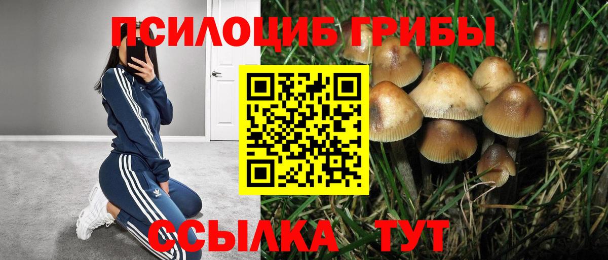 МЕТАДОН Сердобск