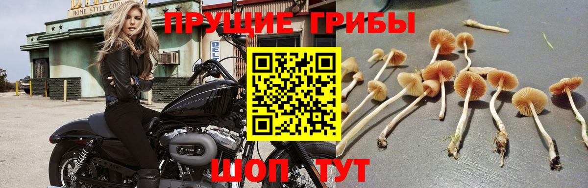 Галлюциногенные грибы ЛСД  Вход с VPN  Сердобск 